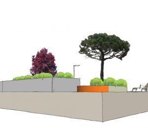 blogdiseñodejardines-diseño de jardines
