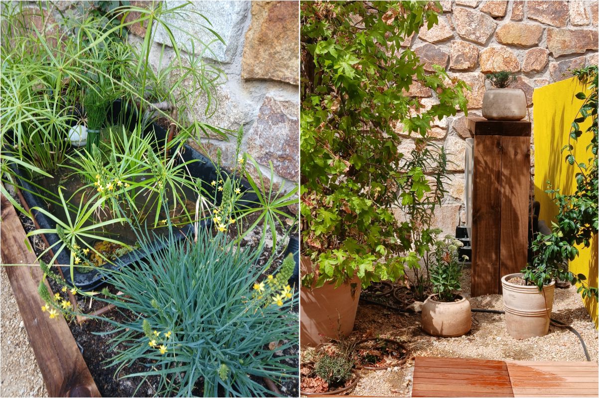 diseños de jardines pequeños