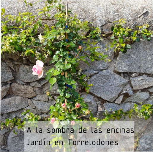 jardinentorre paisajista en torrelodones
